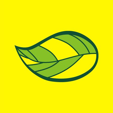 simple green leafの写真素材