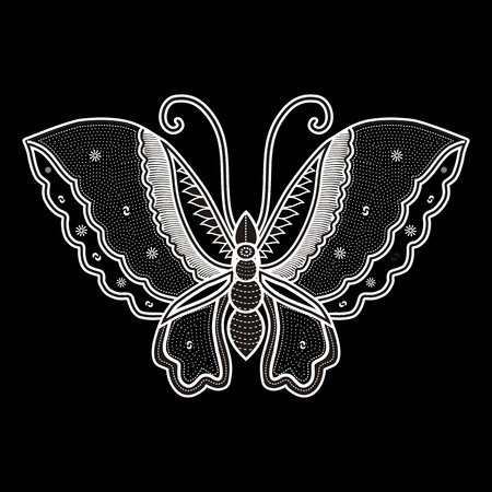 butterflyの写真素材