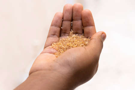 Closeup Image Of Lady Holding Kerala Matta Rice In Hand. Selective Focusの写真素材
