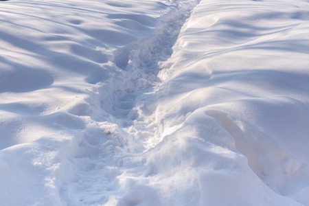 The path in the white snow. The play of light and shadow. Winter picture.の写真素材