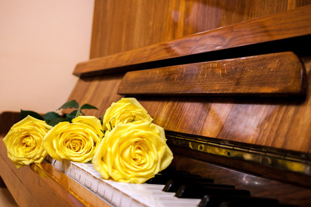 Beautiful yellow roses lie on black and white keyboard of old piano.の写真素材