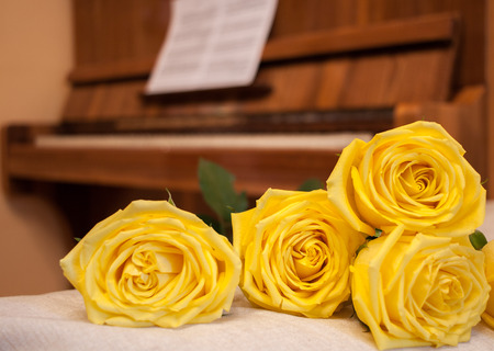 Gorgeous yellow roses on background of piano with sheet music.の写真素材