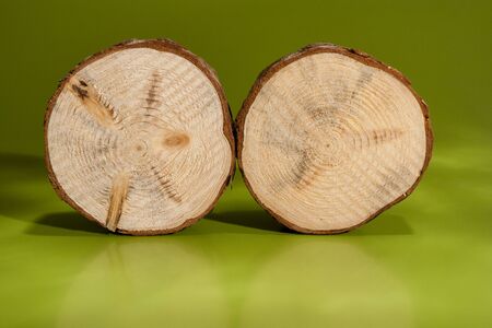 Two pine saw cuts with bark are standing beside on rib on green background.の写真素材