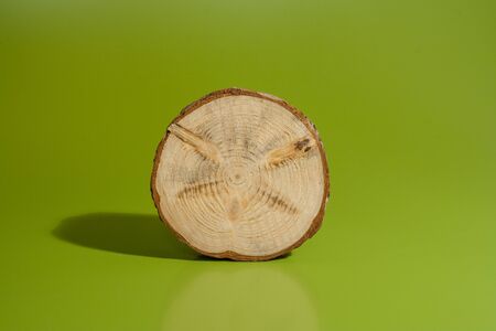 One small pine saw cut with bark is standing on rib on green background.の写真素材