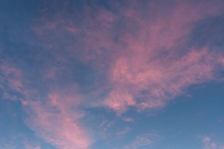 Pink clouds on blue sky at sunset in summer.