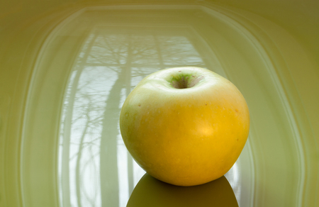 Ripe yellow apple lying on curved green glossy surface, which reflects window and trees behind him.の写真素材