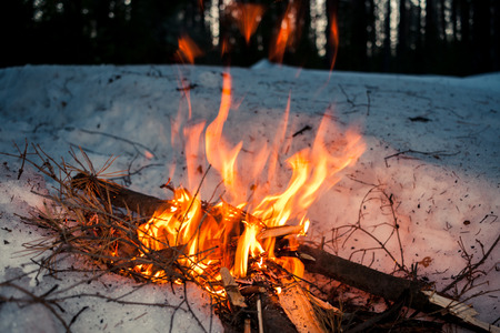 Close-up  flames of bonfire in snow against background of winter night forest.の写真素材