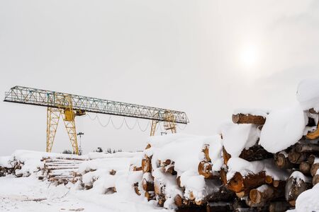Snow-covered bunch of sawn logs and gantry crane in winter  day.の写真素材