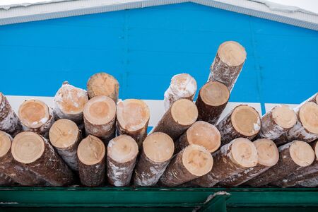 Pile of fresh sawn pine logs is lying on green rack on blue industrial building background in winter.の写真素材