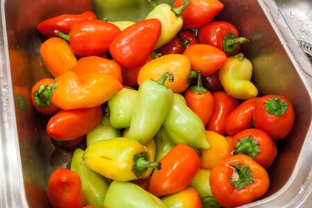 Bunch of wet multicolored peppers is lying in metal sink.