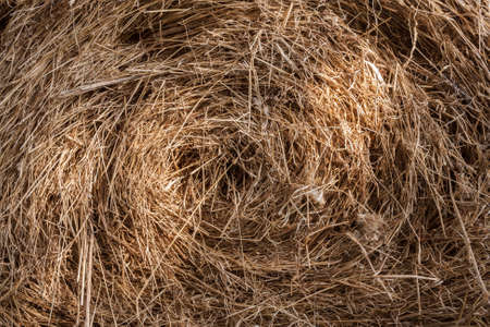 Natural background of sunlit round bale of hay.