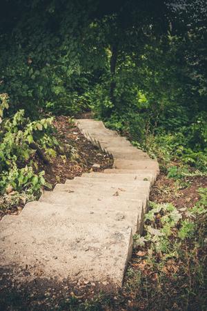 Narrow stone staircase, disappearing into the depths of the forest down.の写真素材