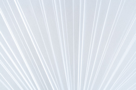 White minimalistic symmetric geometric pattern of clean paper sheets, spaced as fan.の写真素材
