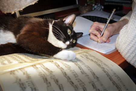 Close-up girl's hand writes in a notebook and a black and white cat is lying on the musical notes on the table.の写真素材