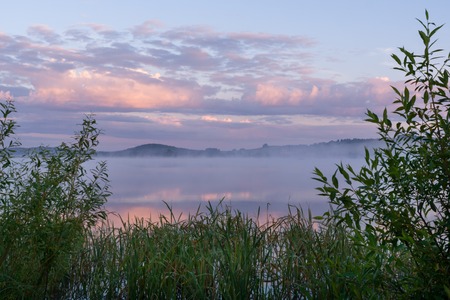 River with fog and pink clouds and frame of green coastal thickets at dawn.の写真素材