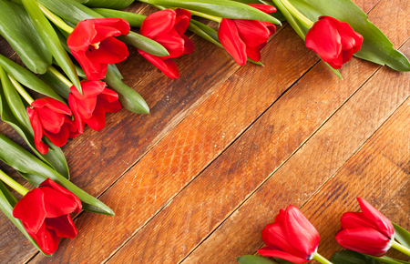 Red tulips are lying diagonally on opposite diagonal rustic wooden background with central copy space.の写真素材