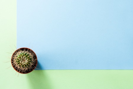 Geometric pastel blue-green background with small cactus in bottom corner. Top view.の写真素材