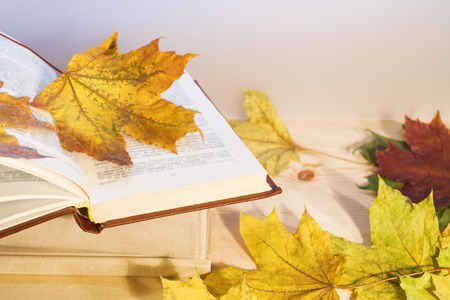 Open book with colored autumn leaves on wooden table.の写真素材