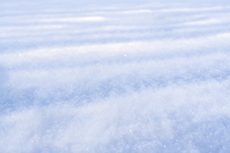 on fluffy freshly fallen white snow. Selective focus.の写真素材