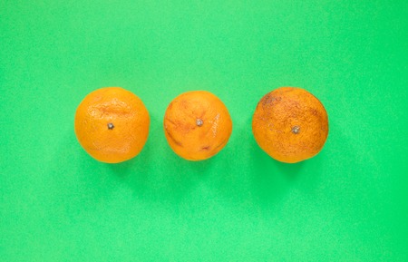 Three ugly non-standard mandarin lying in middle of  green background.の写真素材