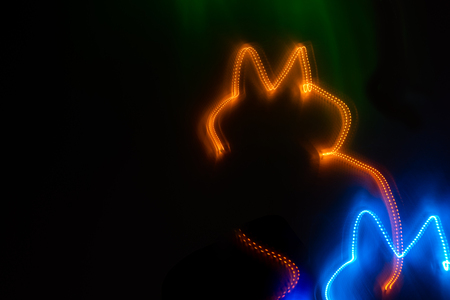 Glowing lines in form of cat silhouette on black background.の写真素材