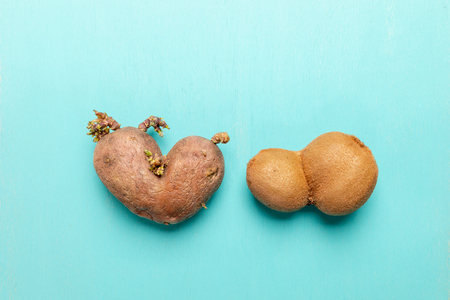 Ugly heart-shaped potato and kiwi on  turquoise background.の写真素材