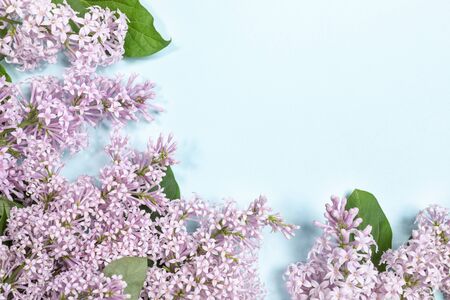 Floral composition of lilac flowers with copy space.