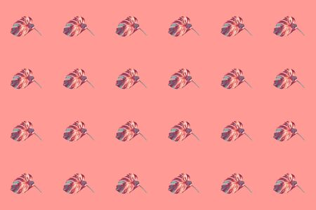 Pattern of horizontal rows of colored in bronze with blue monstera leaves on trendy Peach Pink colored background.の写真素材