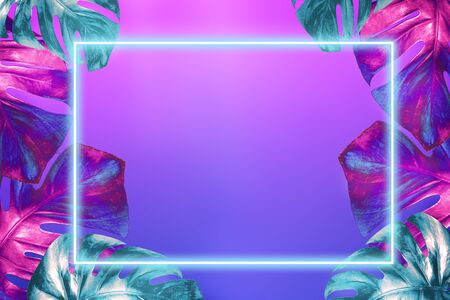 Monstera leaves colored in trendy neon colors and neon frame above them on fashionable pink blue gradient background.の写真素材