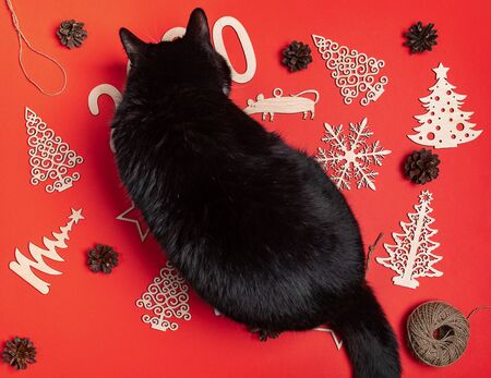 Curious black cat is sitting atop festive christmas mockup with red background and handmade wooden xmas decorations. Funny composition. Flat lay, top view.の写真素材