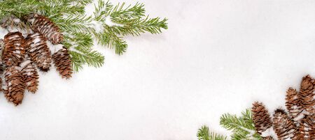 Christmas natural banner with green fir branches and cones on white snow.