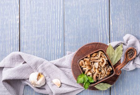 Ceramic brown bowl with pickled forest honey agarics and spices on grey napkin on grey wooden table. Fermented, marinated mushrooms are source of protein. Sustainable nutrition. Top view, copy space.の写真素材
