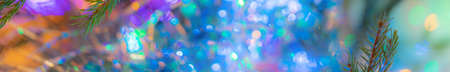 Super wide Christmas blurred banner with Christmas tree twigs and beautiful multicolored bokeh....