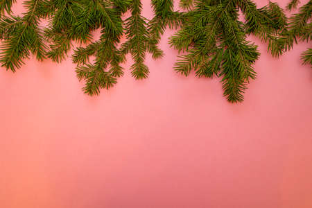 Green Christmas tree branches on pink background with bokeh. Festive minimal Christmas or New Year greeting card or invitation for holiday party. Copy space for text.の写真素材