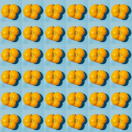 Seamless pattern of top view ripe juicy yellow tomatoes on blue background. Healthy natural food....