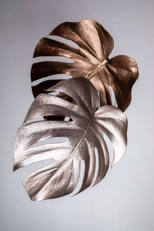 Image with two bronze and silver monstera leaves in center of light grey background close up. Tropical elegant trendy creative modern advertising backdrop. Exotic luxury trend in minimal style.の写真素材