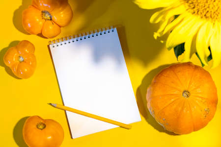 Yellow tomatoes, pumpkin, empty blank white notepad and bright yellow flower of sunflower on yellow...