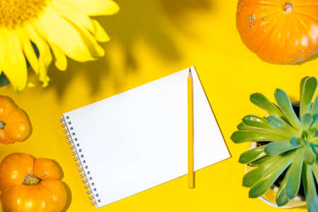Empty blank white notepad, pumpkin, tomatoes and bright flowers - sunflower and succulent on yellow...