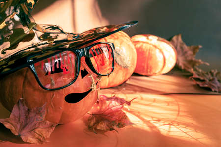 Three halloween pumpkins, one painted as Jack's lantern in festive bloody glasses and witch hat, fall leaves, magic shadows with spiderweb. Halloween festive concept. Selective focus.の写真素材