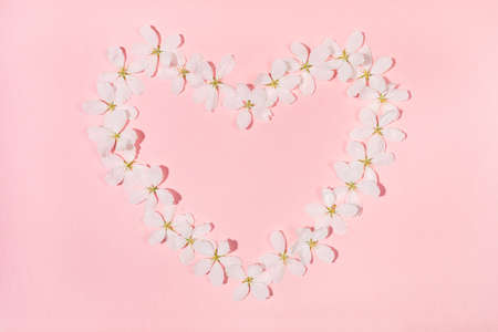 Shape heart laid out from flowers of white apple tree on pink backdrop. Holiday Mother's day, Valentine's Day, Wedding floral composition. Top view, flat lay. Horizontal orientation.の写真素材