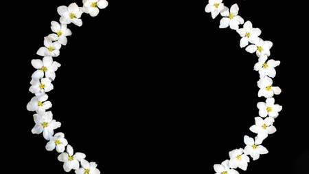 Frame made of white apple tree flowers on edges of black background. Festive creative minimal...