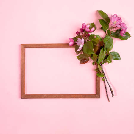 Fresh blooming cherry twigs or apple tree and empty wooden frame on pink backdrop. Festive Mother's...