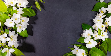 White apple tree branches on empty shale black serving board. Festive mockup for serving or recipes...