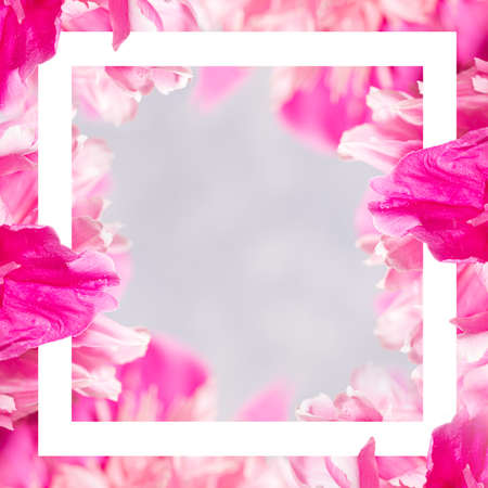 Border of pink peonies petals and white frame above with copy space inside it on light gray. Valentine's day, Mother's day, Women's Monthly, International Women's day, wedding greeting card. Top view.の写真素材
