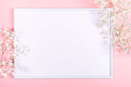 Frame with white copy space and gentle white gypsophila flowers on pastel pink. Spring festive background.の写真素材