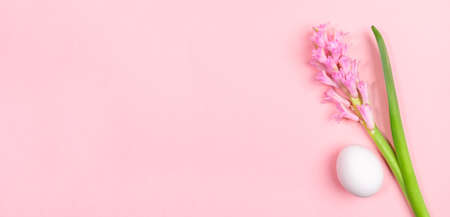 Easter minimal banner with one white egg and pink hyacinth flower on pastel pink background with copy space.の写真素材