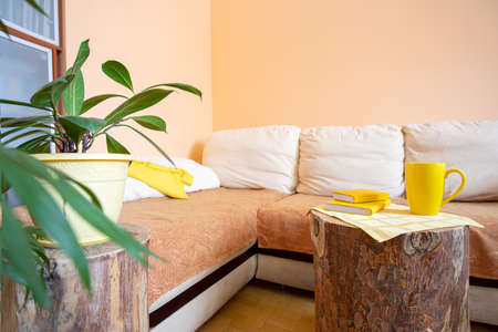 Real home interior with large corner sofa, house plants and round wooden stumps as creative table or...