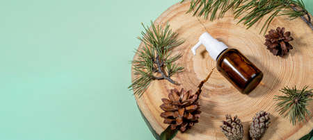Advertising banner of natural aromatherapy and spa. Small glass bottle with essential pine oil, green branches and cones on wooden saw cut on mint green backdrop. Top view, copy space for text.の写真素材