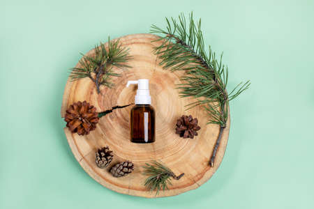 Small glass bottle with spa aromatic essential pine oil, green branches and cones on wooden saw cut in center of mint green backdrop. Natural aromatherapy and spa concept. View from above, copy space.の写真素材