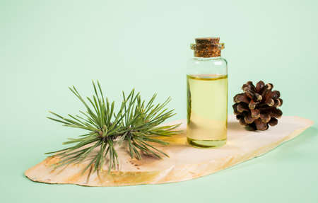 Essential pine oil in glass bottle on wooden saw cut on mint green background. Natural aromatherapy, skin care, spa concept. Pine oil help restoration of respiratory tract after infectious diseases.の写真素材